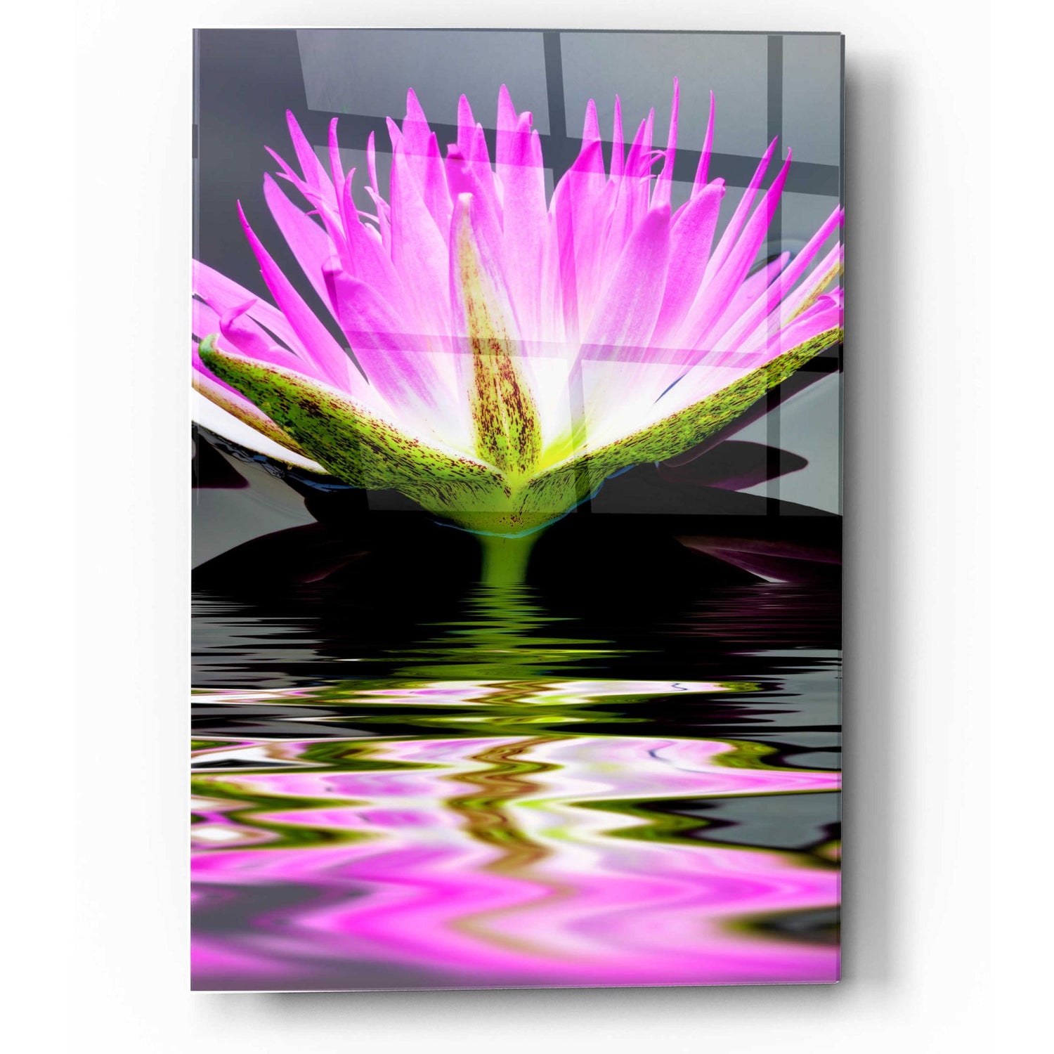 Epic Art 'Purple Reflection' by Dennis Frates, Acrylic Glass Wall Art