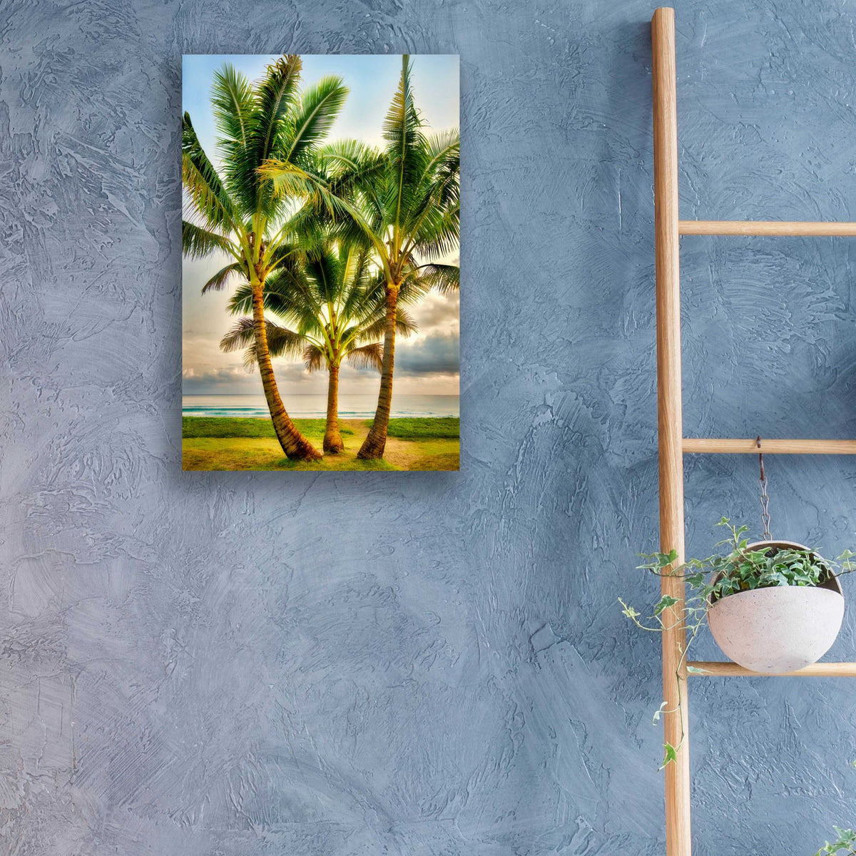 Epic Art 'Triple Palm' by Dennis Frates, Acrylic Glass Wall Art,16x24