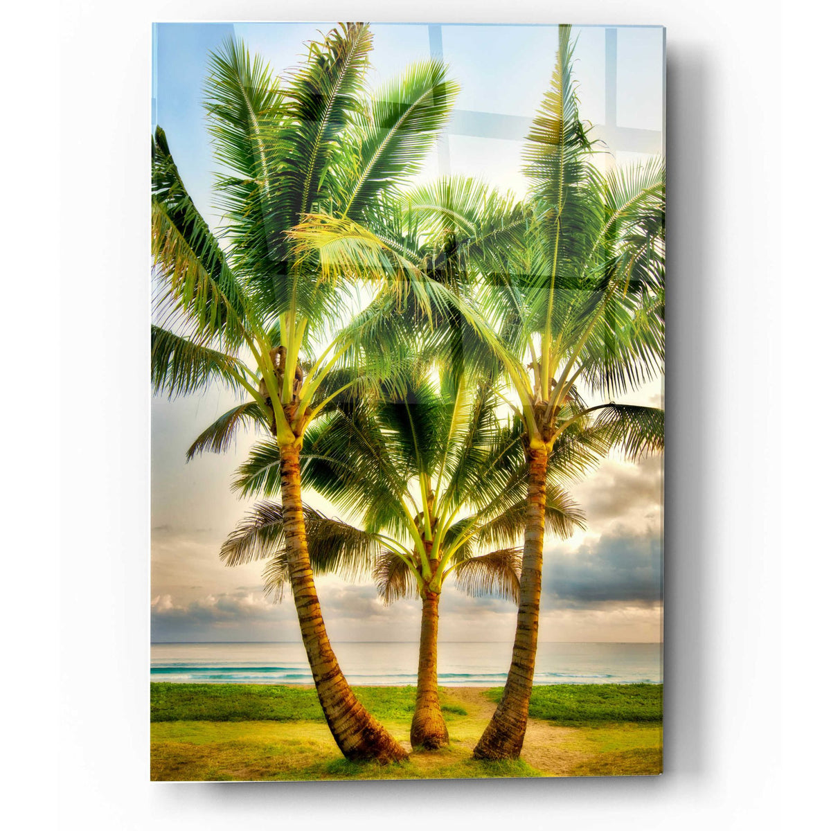 Epic Art 'Triple Palm' by Dennis Frates, Acrylic Glass Wall Art