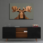Staring Moose by Andreas Magnusson - 36x24 acrylic wall art in a room