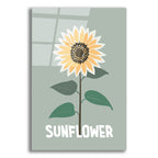 Sunflower by Andreas Magnusson acrylic glass wall art