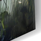 Epic Art 'The Dandelion'  by Andreas Magnusson Acrylic Glass Wall Art,12x16