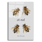 Two Bee Or Not Two Bee by Andreas Magnusson acrylic glass wall art