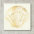 Coastal Breeze Shell Sketches 5 by Anne Tavoletti - 12x12 acrylic wall art in a room