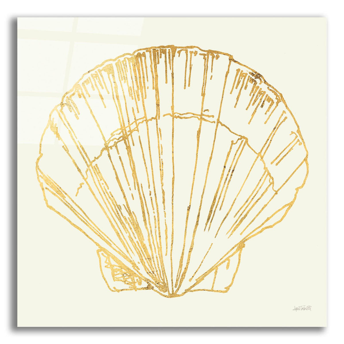 Coastal Breeze Shell Sketches 5 by Anne Tavoletti acrylic glass wall art