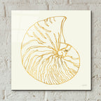 Coastal Breeze Shell Sketches 7 by Anne Tavoletti - 12x12 acrylic wall art in a room
