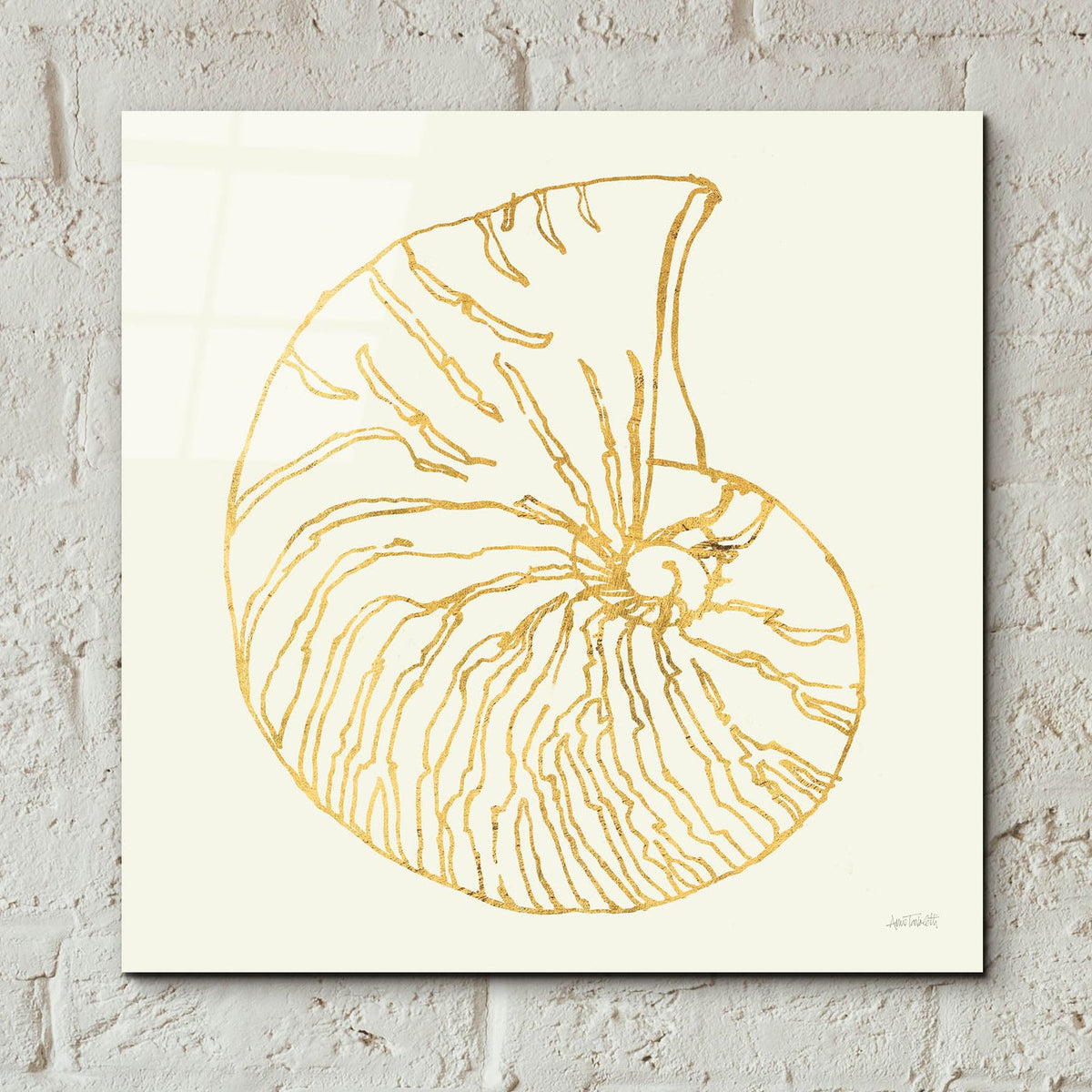 Coastal Breeze Shell Sketches 7 by Anne Tavoletti - 12x12 acrylic wall art in a room