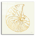 Coastal Breeze Shell Sketches 7 by Anne Tavoletti acrylic glass wall art