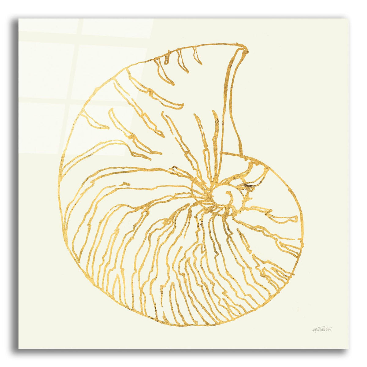 Coastal Breeze Shell Sketches 7 by Anne Tavoletti acrylic glass wall art
