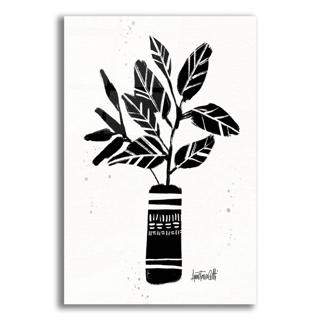 Botanical Sketches 6 by Anne Tavoletti acrylic glass wall art