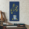 Citron 5 Navy by Anne Tavoletti - 12x24 acrylic wall art in a room