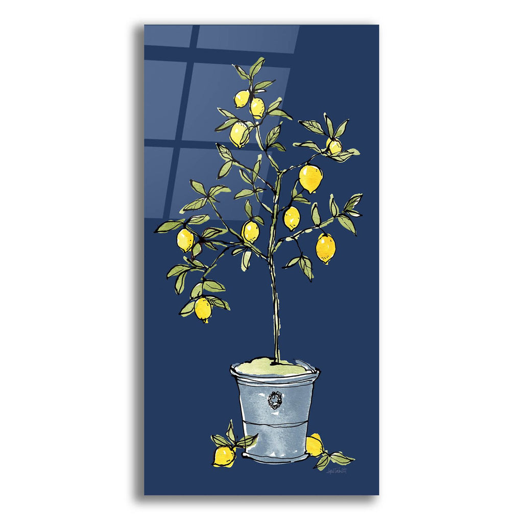 Citron 5 Navy by Anne Tavoletti acrylic glass wall art