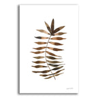 Botanique Beauty 3 by Cheryl Warrick acrylic glass wall art