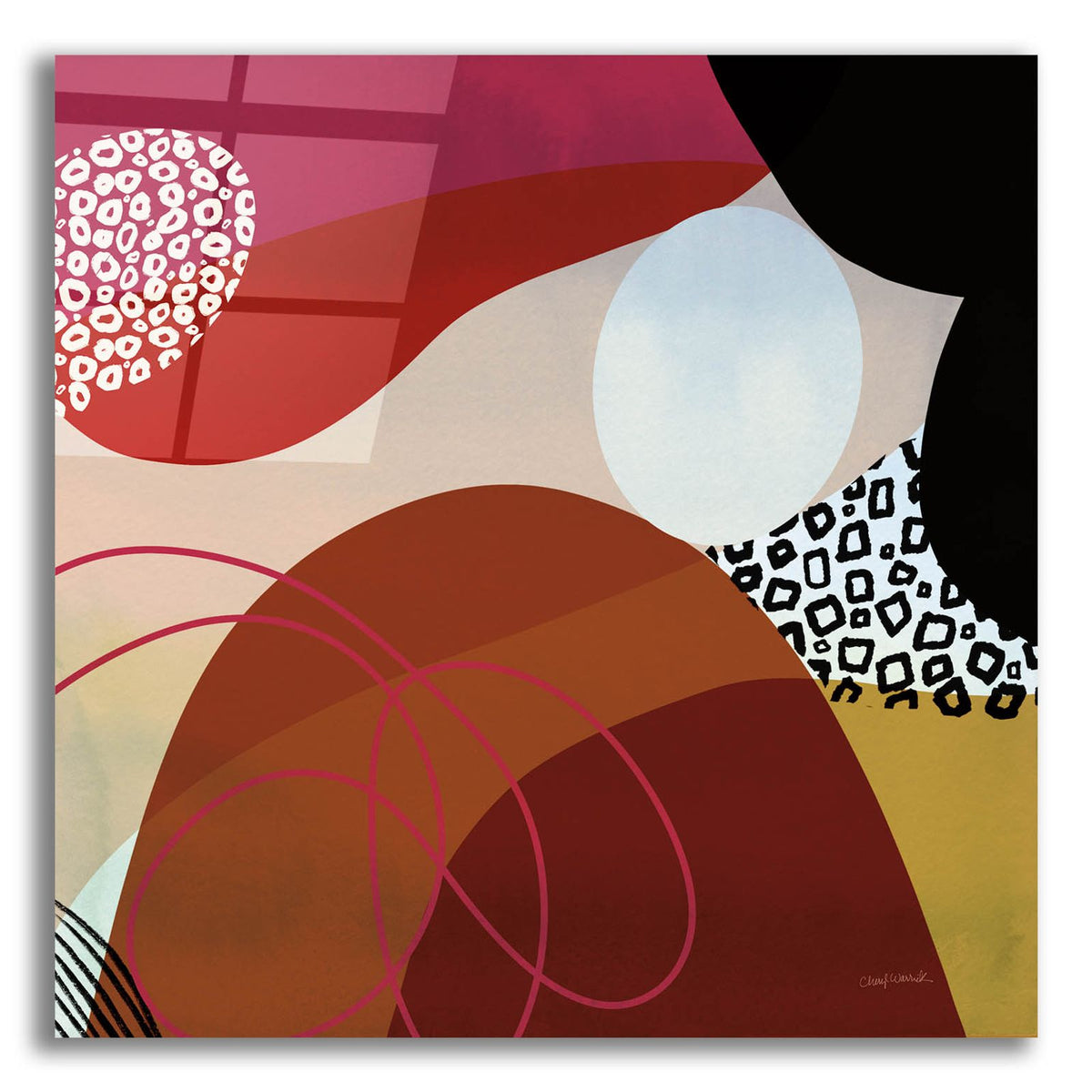 Variety 8 by Cheryl Warrick acrylic glass wall art