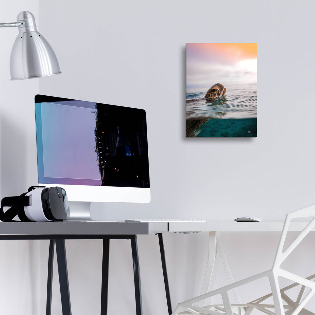 Sunrise Swim by Max Blakesberg Studios - 12x16 acrylic wall art in a room