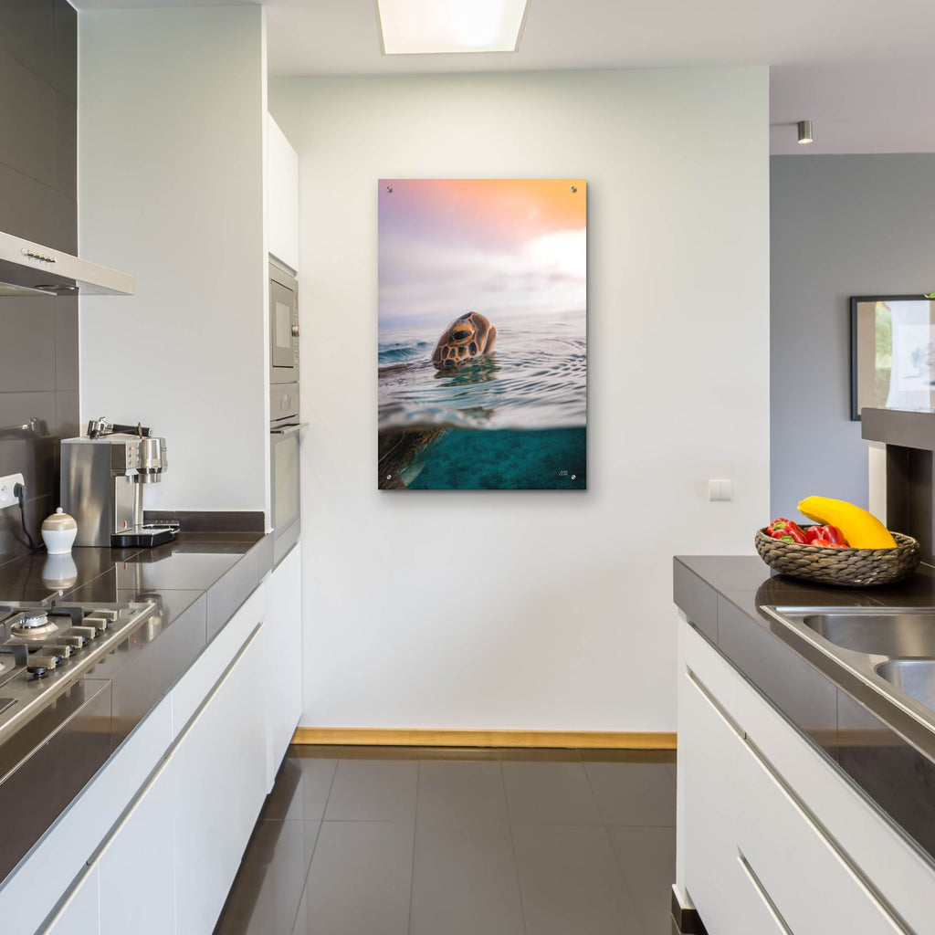 Sunrise Swim by Max Blakesberg Studios - 24x36 acrylic wall art in a room
