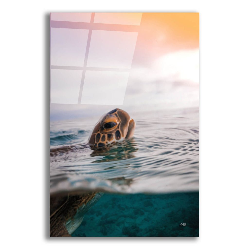 Sunrise Swim by Max Blakesberg Studios acrylic glass wall art