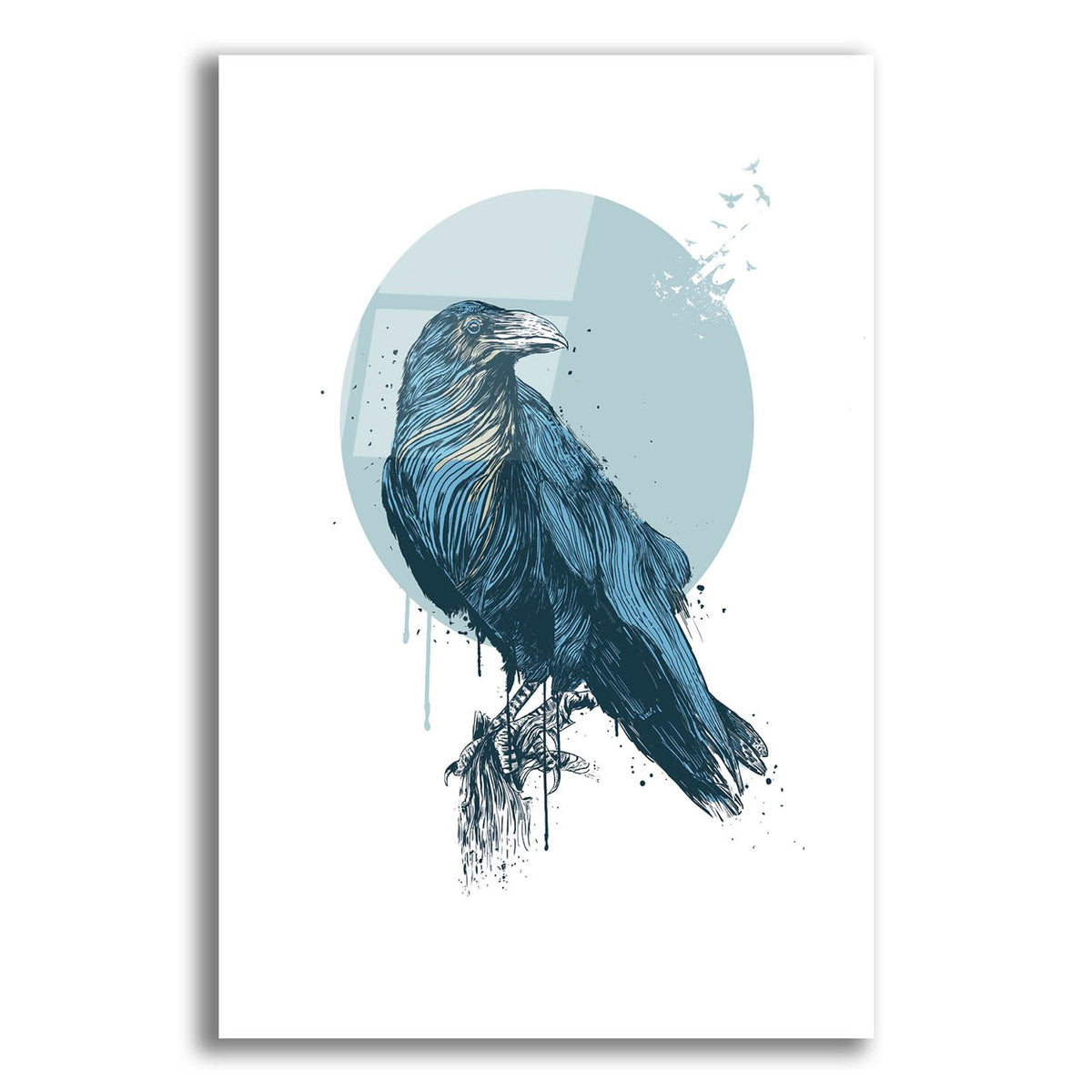 Blue Crow by Balazs Solti acrylic glass wall art