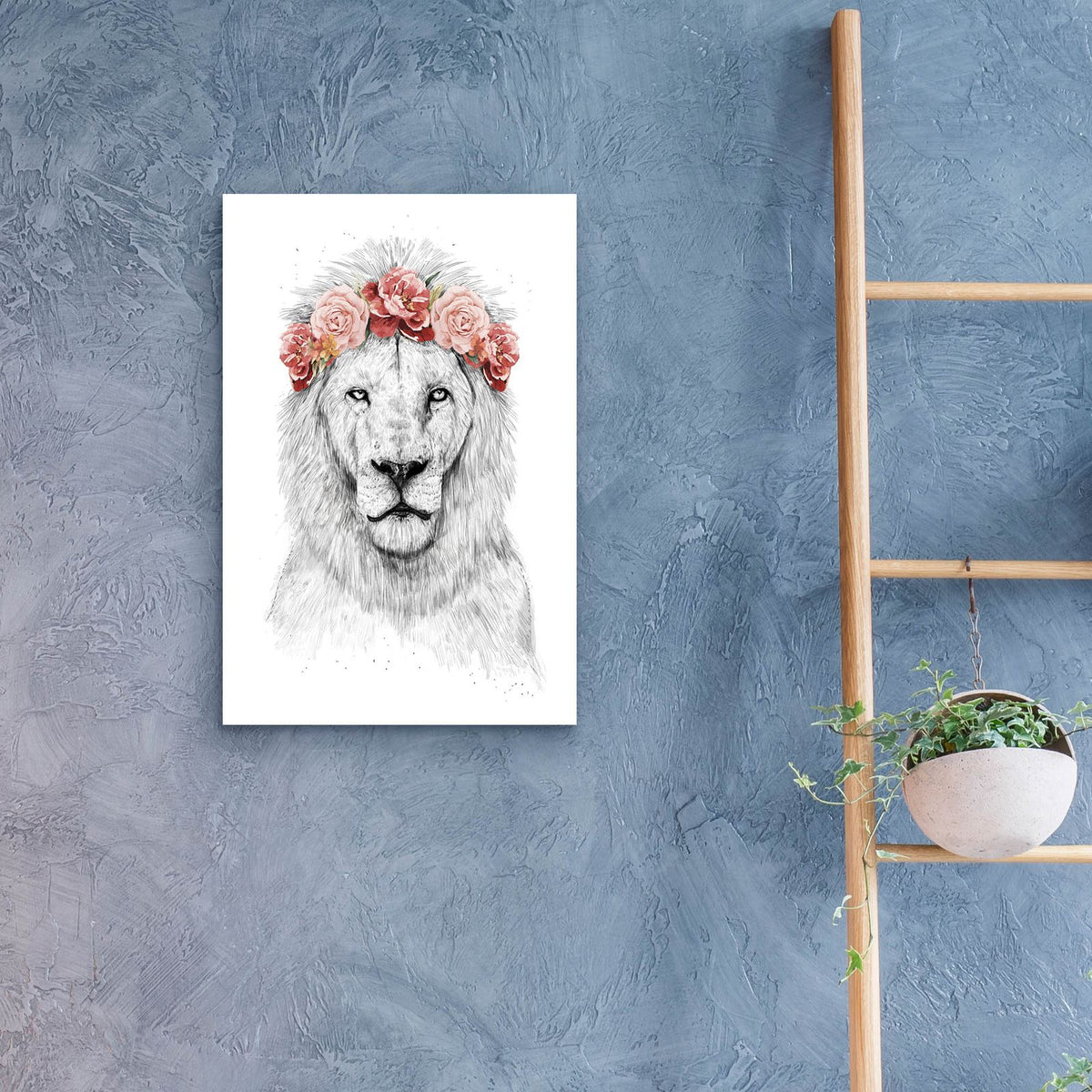 Festival Lion by Balazs Solti - 16x24 acrylic wall art in a room