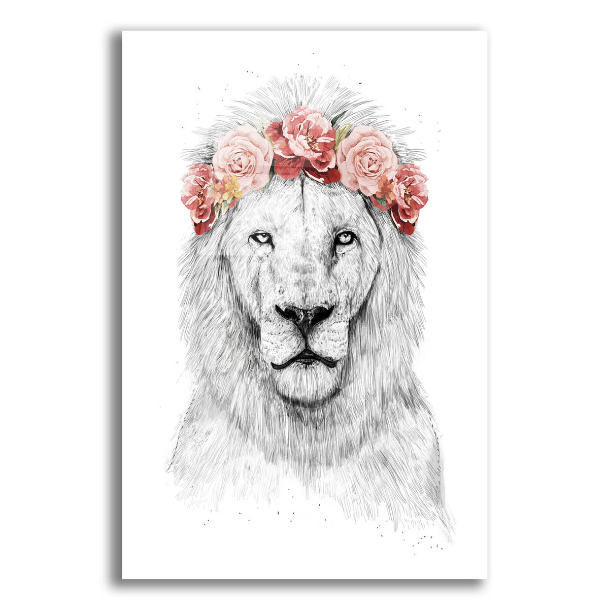 Festival Lion by Balazs Solti acrylic glass wall art