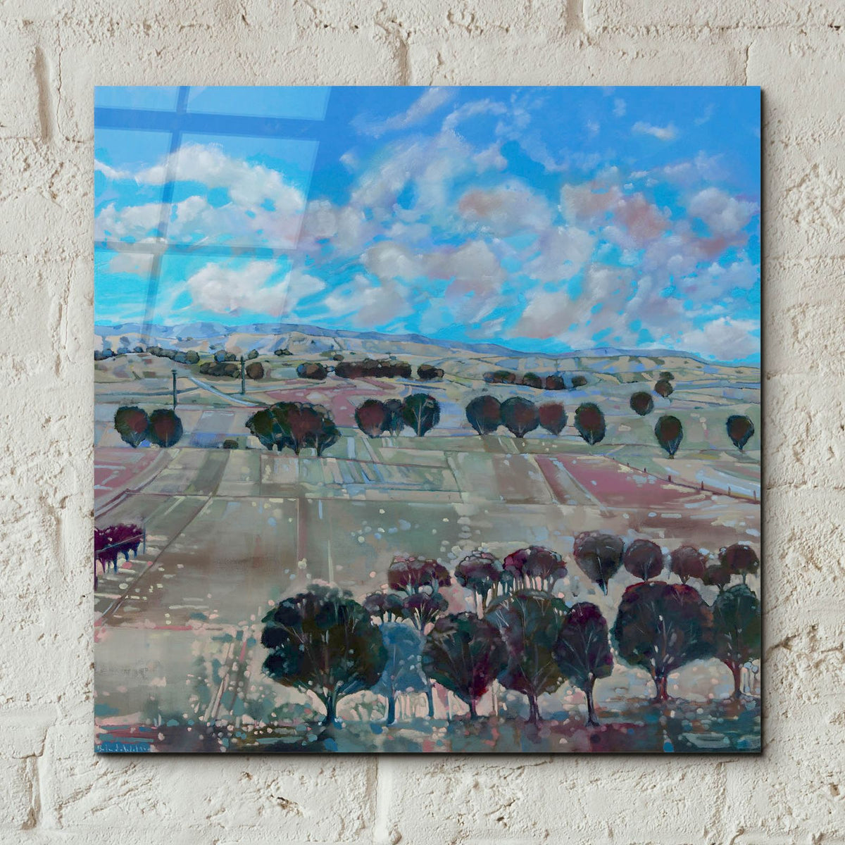 Summer In Seppeltsfield by Balazs Solti - 12x12 acrylic wall art in a room