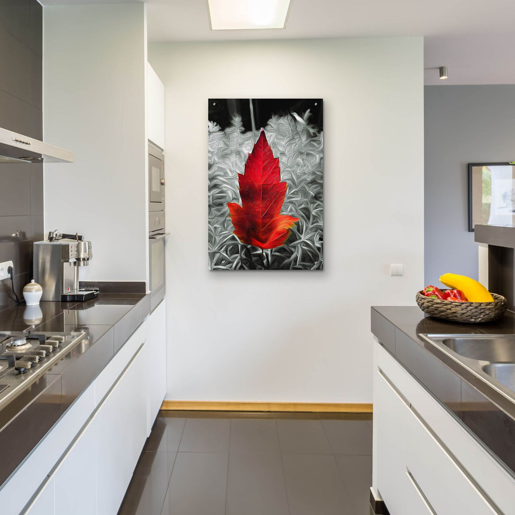 Red Leaf by Dante Plata - 24x36 acrylic wall art in a room