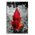 Red Leaf by Dante Plata acrylic glass wall art