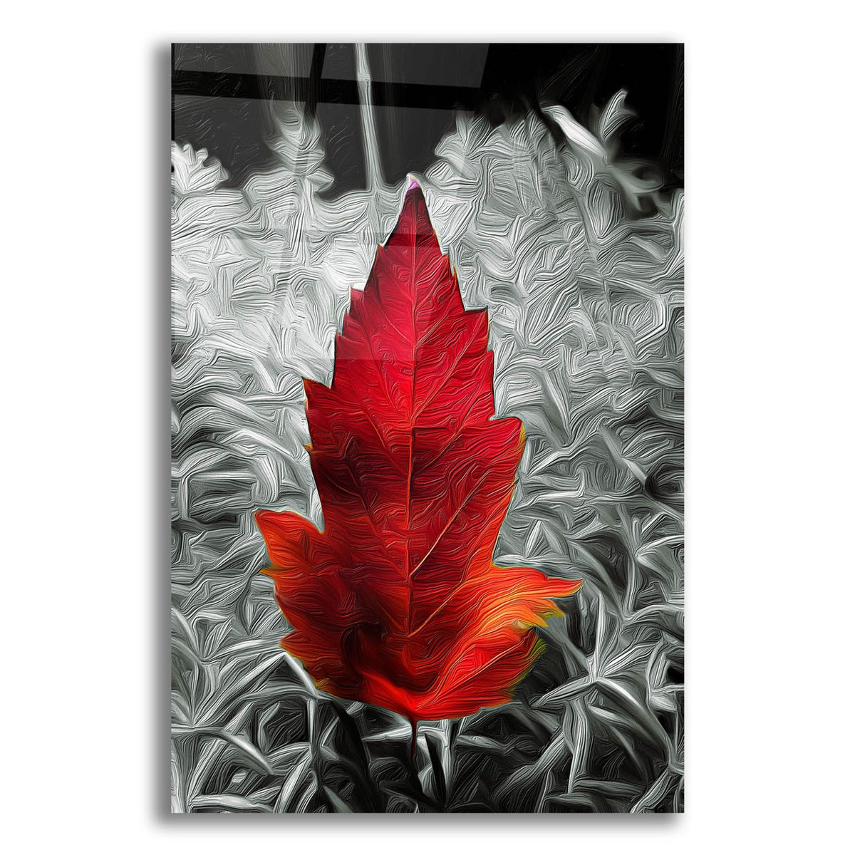 Red Leaf by Dante Plata acrylic glass wall art
