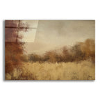 Amber Waves Of Grain by Ashley Bradley acrylic glass wall art
