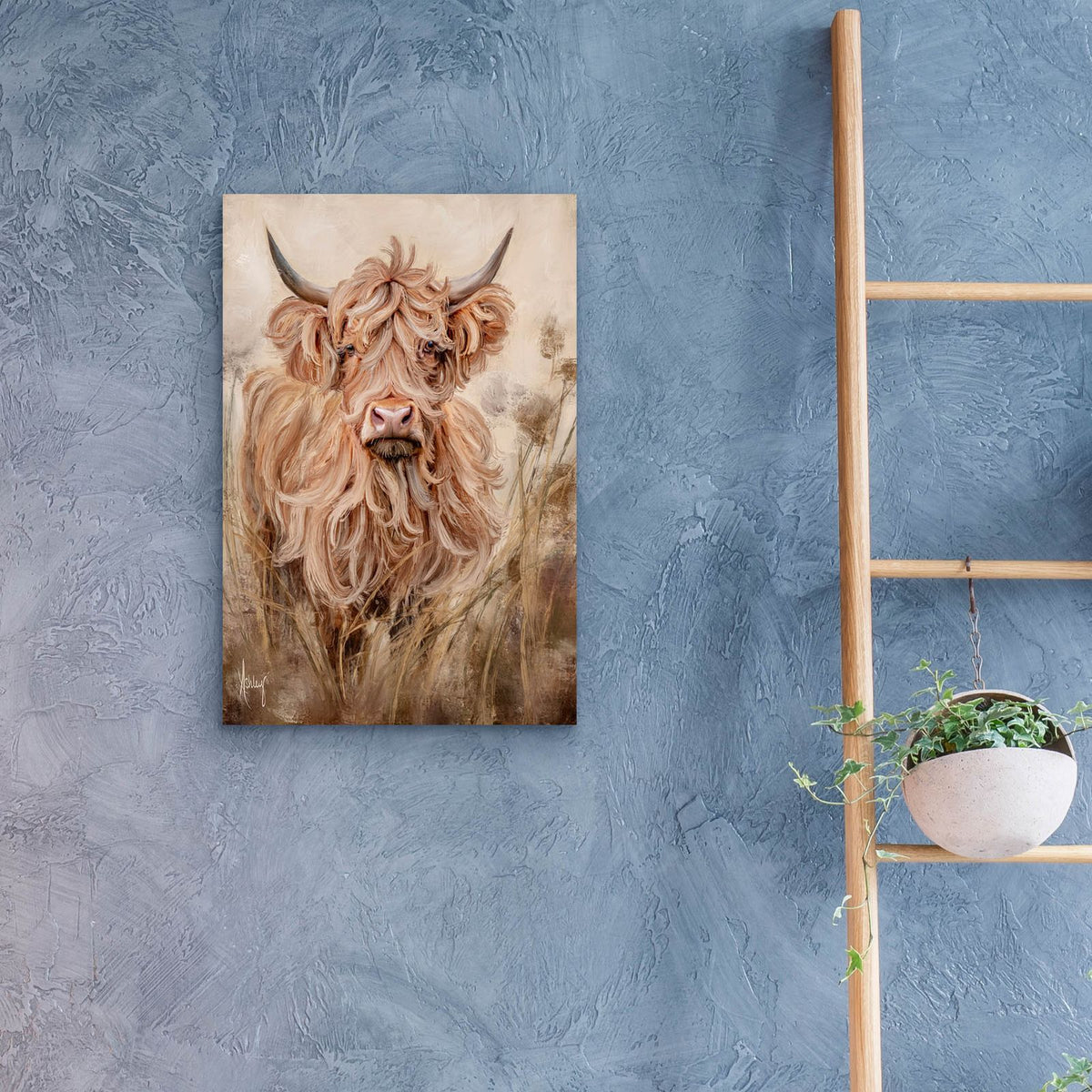 Highland Cow by Ashley Bradley - 16x24 acrylic wall art in a room