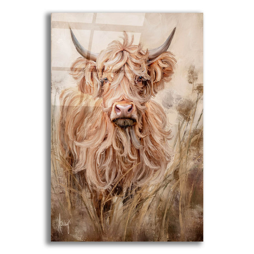 Highland Cow by Ashley Bradley acrylic glass wall art