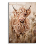 Highland Cow by Ashley Bradley acrylic glass wall art
