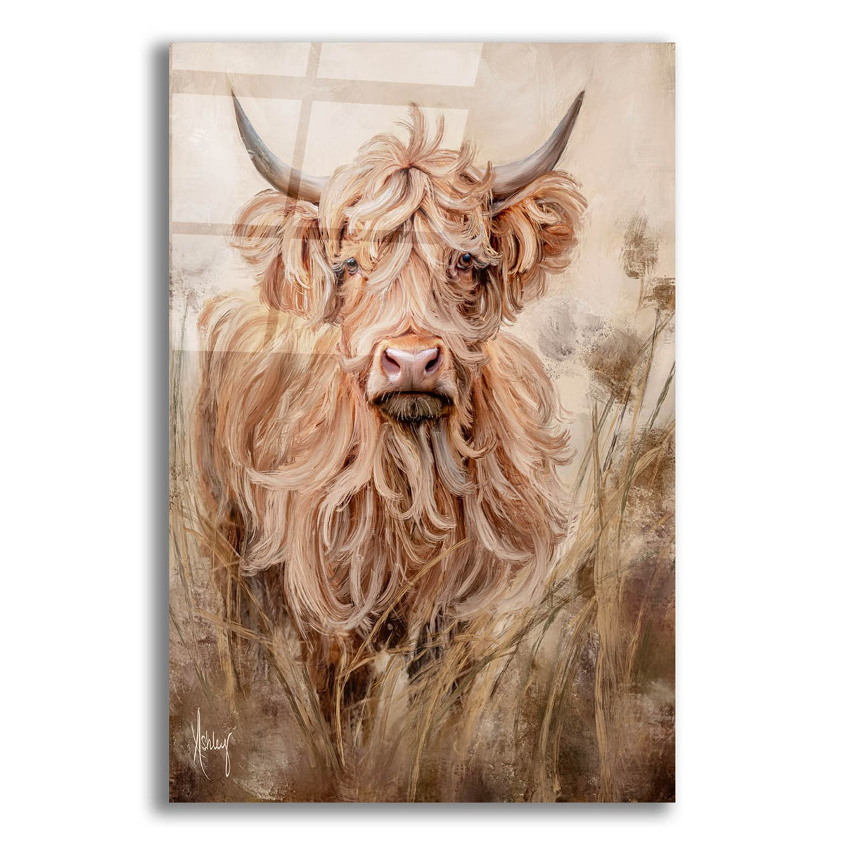 Highland Cow by Ashley Bradley acrylic glass wall art