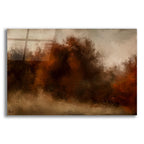 Moody Autumn by Ashley Bradley acrylic glass wall art