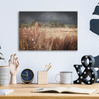 Moody Meadow by Ashley Bradley - 16x12 acrylic wall art in a room