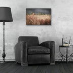 Moody Meadow by Ashley Bradley - 24x16 acrylic wall art in a room