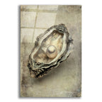 Antique Shell by Svetlana Aleynikova acrylic glass wall art