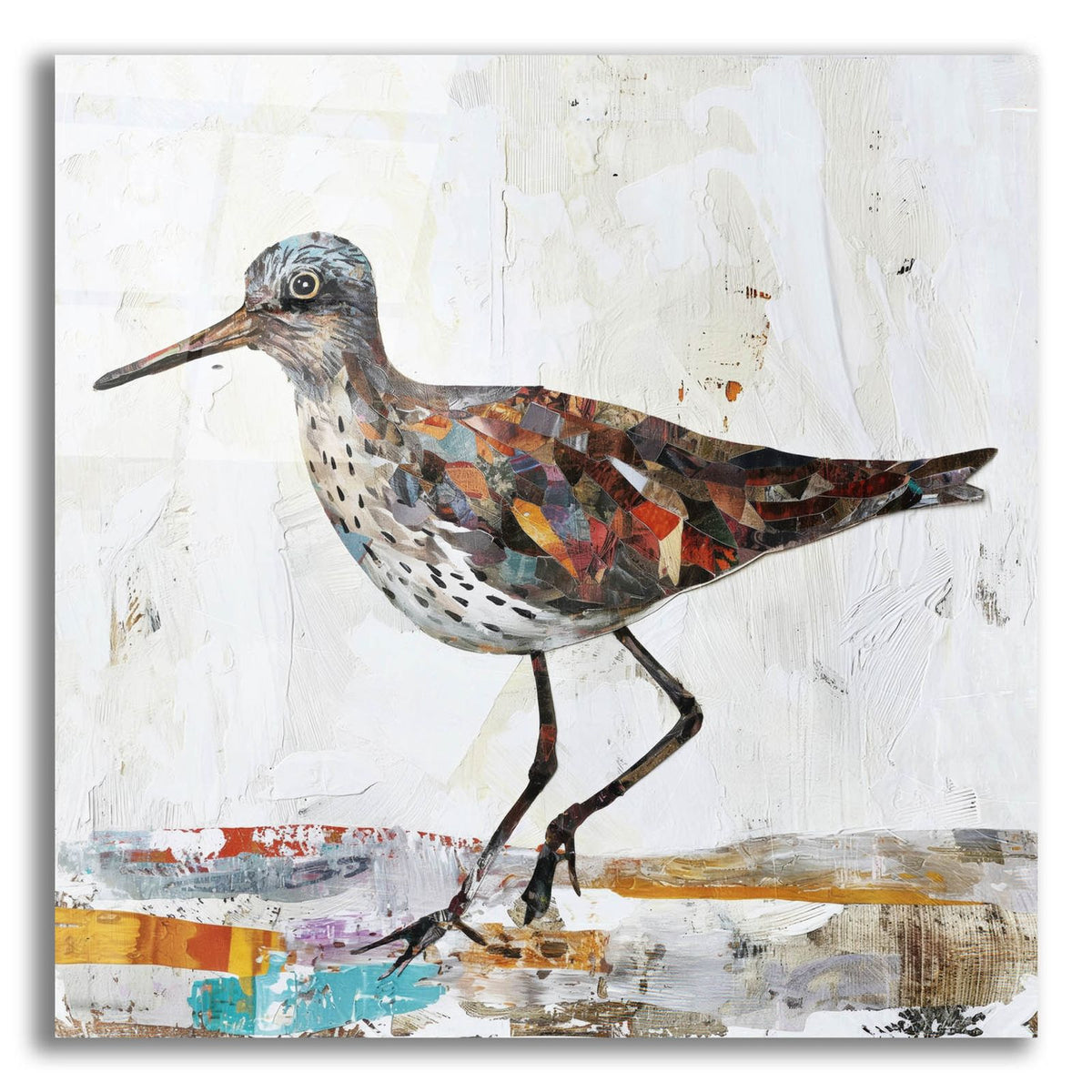 Bird Collage by Svetlana Aleynikova acrylic glass wall art