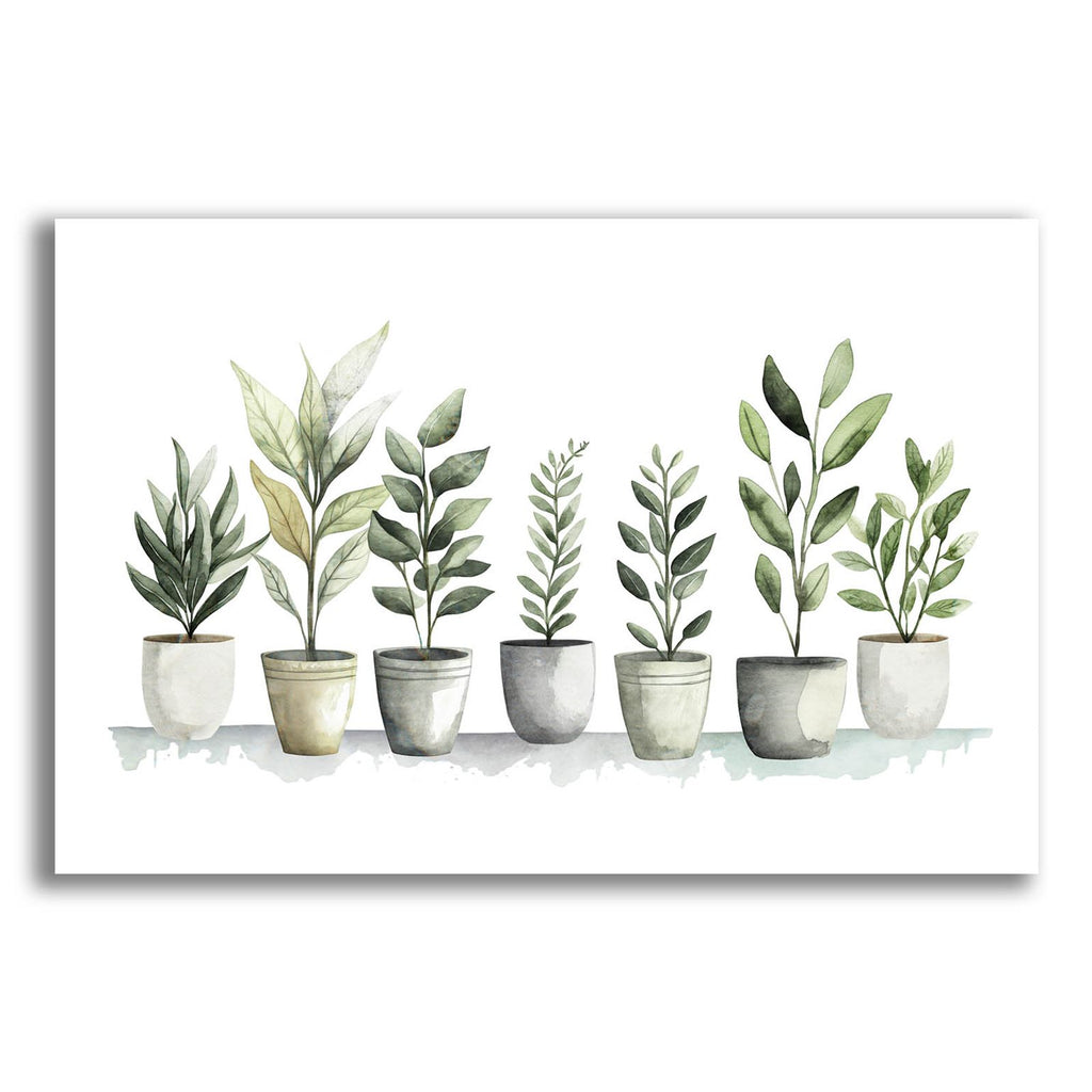 Blossoms In Pots by Svetlana Aleynikova acrylic glass wall art