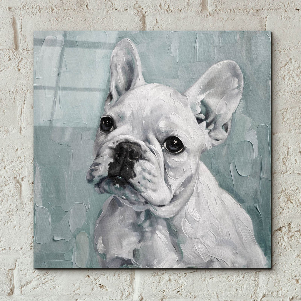 Bulldog In Blue by Svetlana Aleynikova - 12x12 acrylic wall art in a room