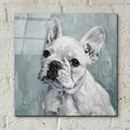 Bulldog In Blue by Svetlana Aleynikova - 12x12 acrylic wall art in a room
