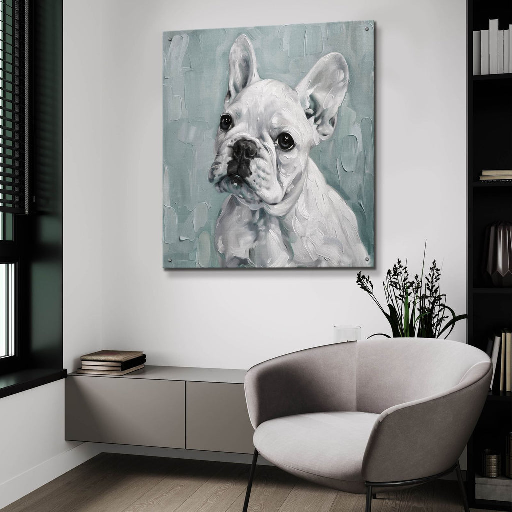 Bulldog In Blue by Svetlana Aleynikova - 36x36 acrylic wall art in a room