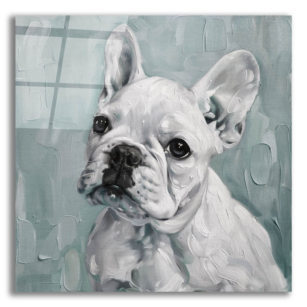 Bulldog In Blue by Svetlana Aleynikova acrylic glass wall art