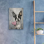 Bulldog With Heart by Svetlana Aleynikova - 16x24 acrylic wall art in a room