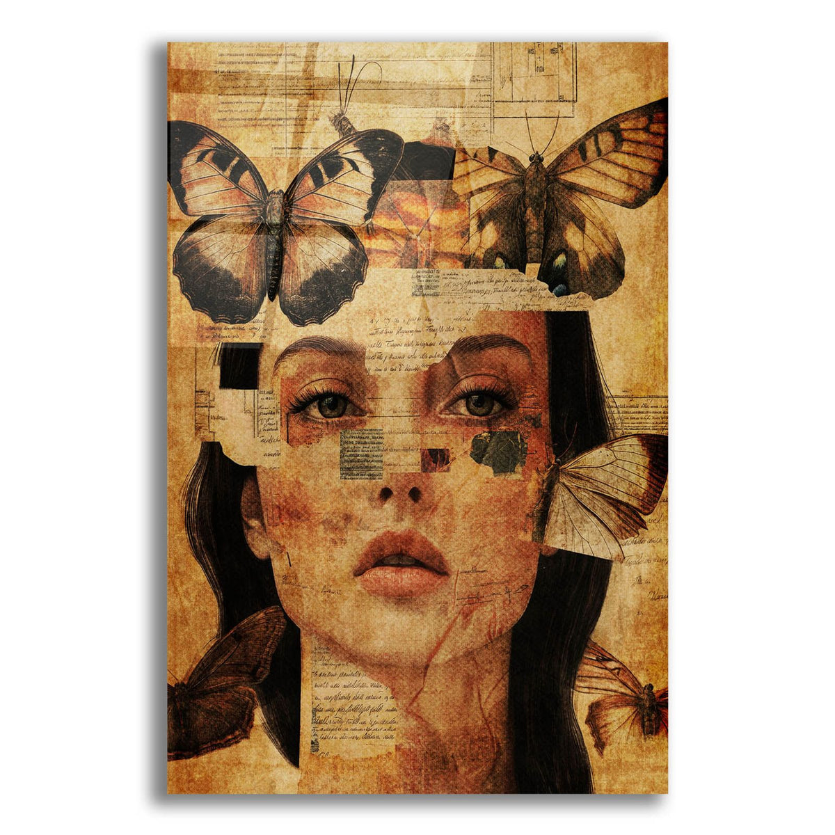 Butterfly Assemblage by Svetlana Aleynikova acrylic glass wall art