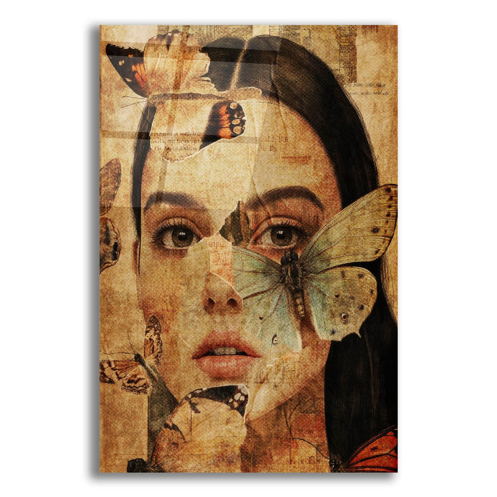 Butterfly Collage by Svetlana Aleynikova acrylic glass wall art