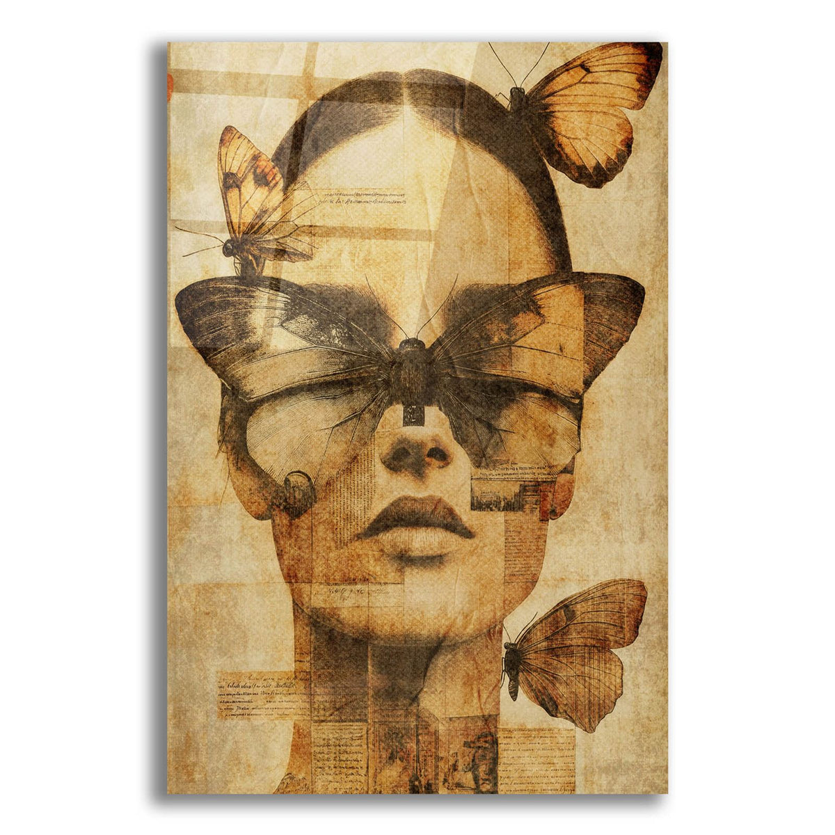 Butterfly Fusion by Svetlana Aleynikova acrylic glass wall art
