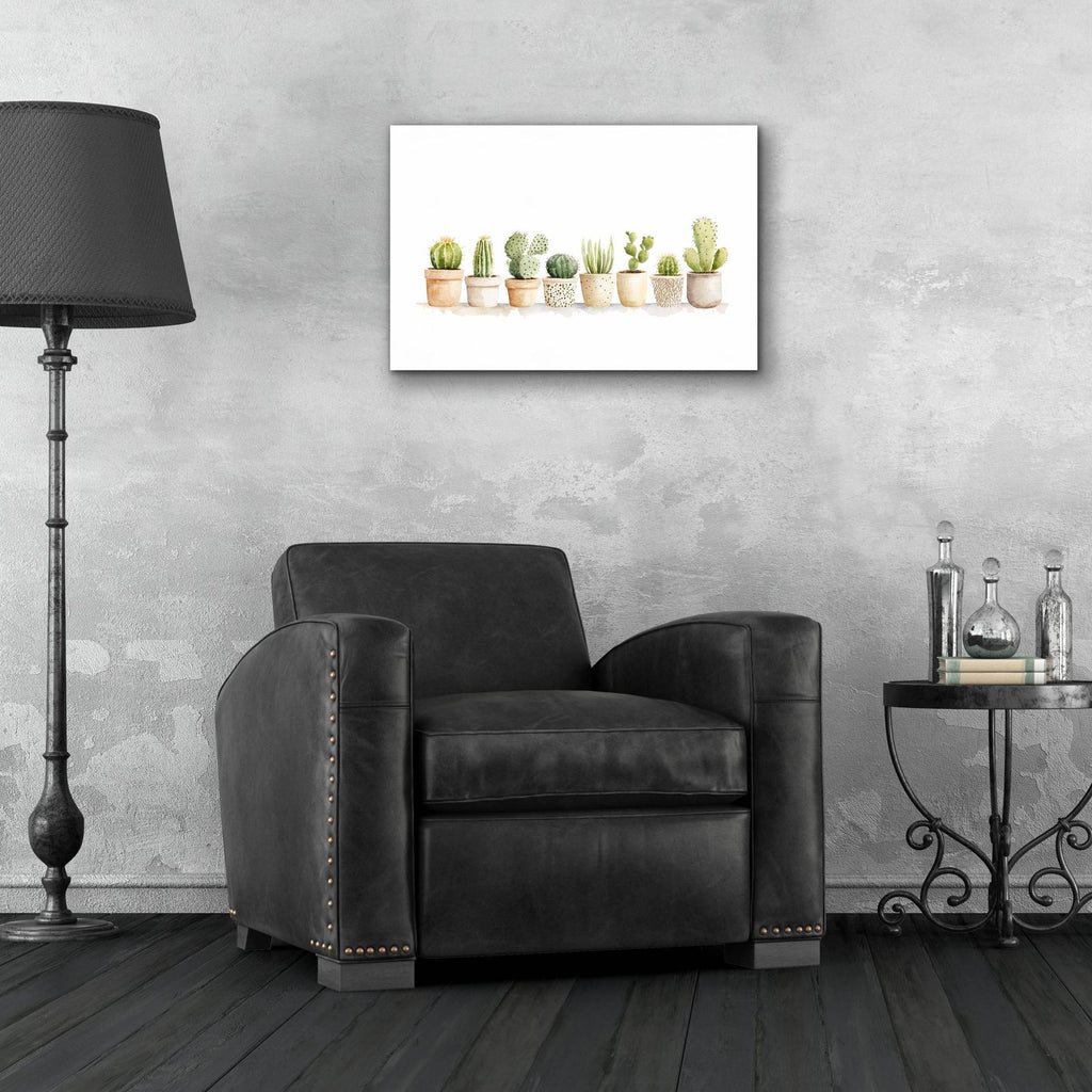Cacti In Ceramic by Svetlana Aleynikova - 24x16 acrylic wall art in a room