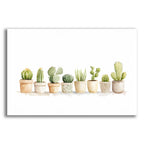 Cacti In Ceramic by Svetlana Aleynikova acrylic glass wall art