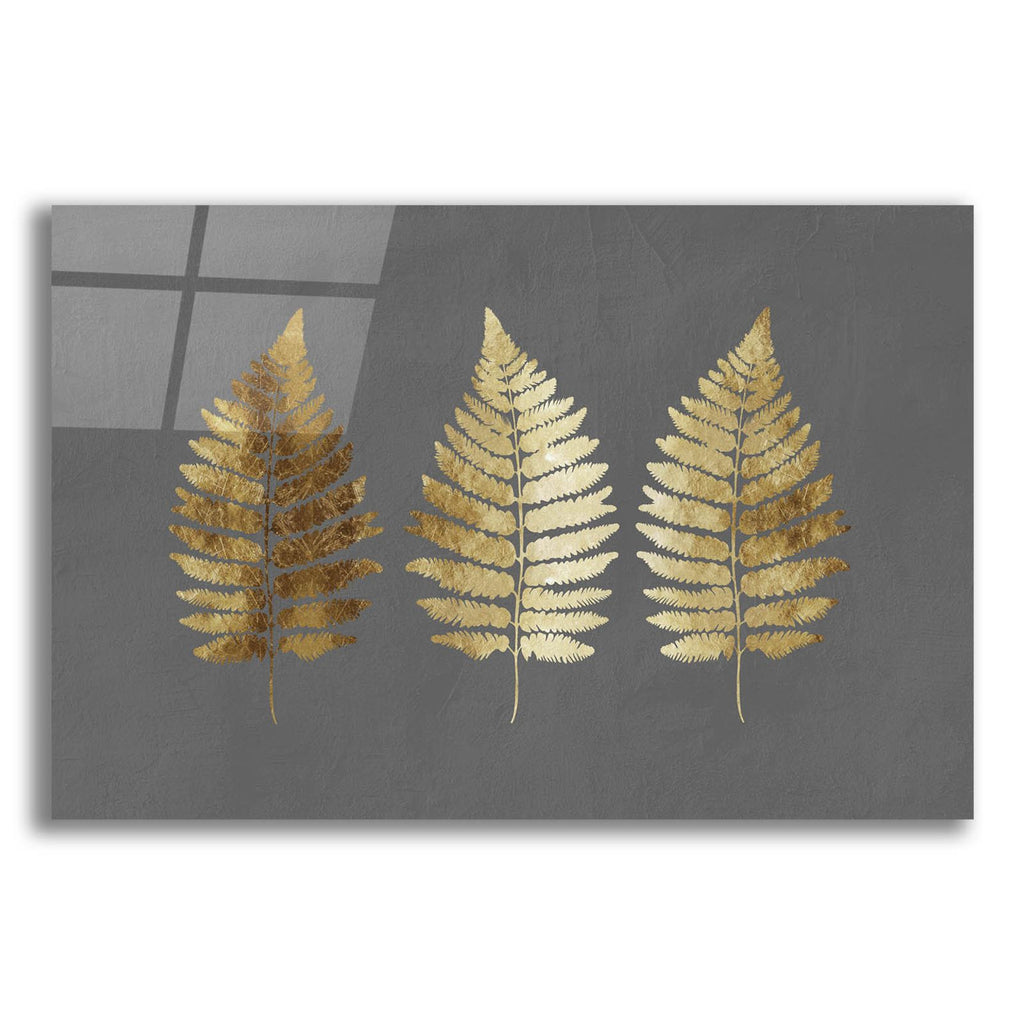 Fern Leaves by Svetlana Aleynikova acrylic glass wall art